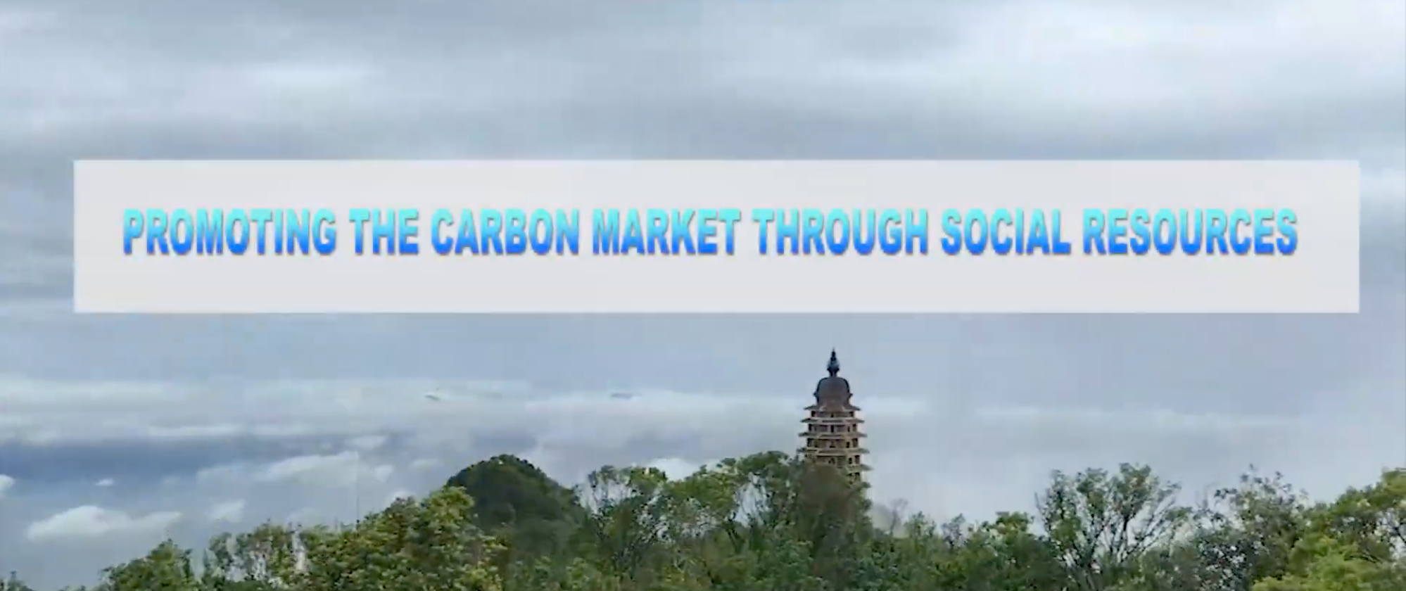 Promoting the carbon market through social resources